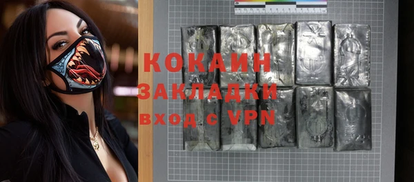 индика Абаза