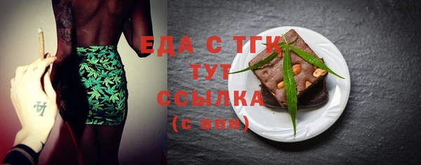 индика Абаза