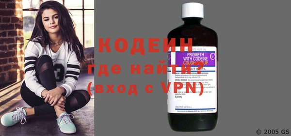 индика Абаза