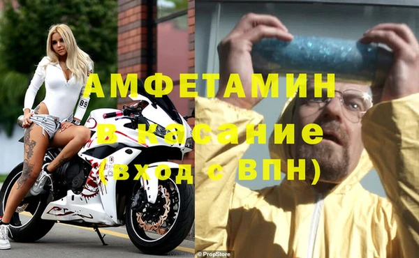 индика Абаза