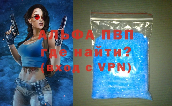индика Абаза
