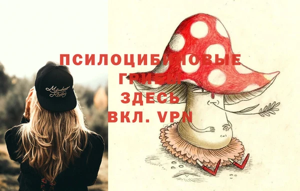 мдпв Абинск