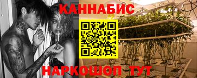 прущие крисы Новозыбков
