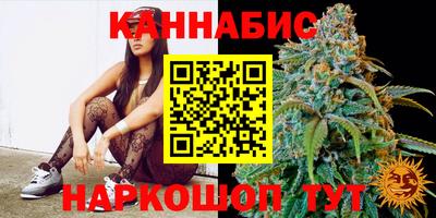 прущие крисы Новозыбков