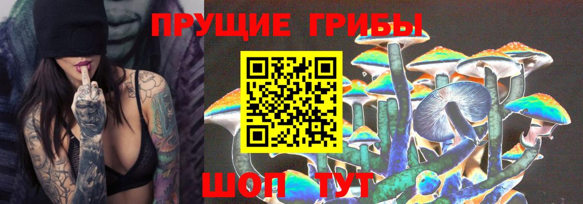 Галлюциногенные грибы MAGIC MUSHROOMS Тында